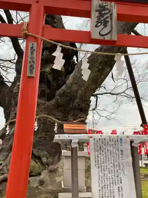 秩父今宮神社(埼玉県)