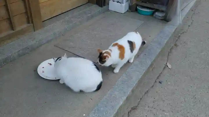 伏見稲荷大社の動物