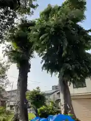 石明神社の自然