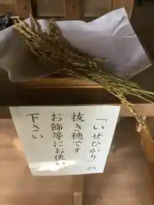 白羽神社の授与品その他(2019年12月26日(木) 11時16分04秒投稿)