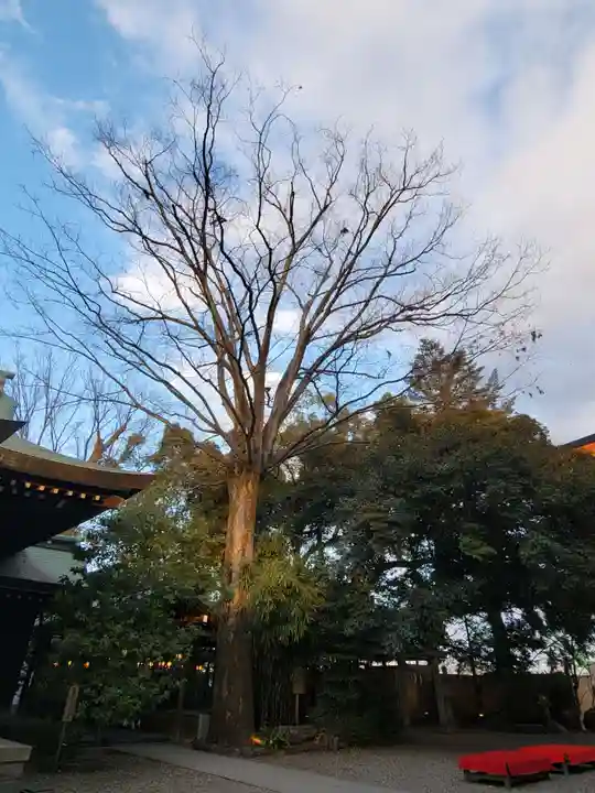 川越氷川神社の自然