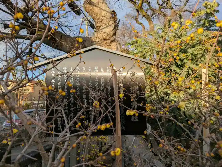 水堂須佐男神社の{uncategorized: "未分類", other: "その他", undefined: "問題あり", building: "その他建物", grave: "お墓", sacred_gate: "鳥居", guardian: "狛犬", statue: "像", buddha: "仏像", history: "歴史", nature: "自然", garden: "庭園", animal: "動物", pagoda: "塔", temizu: "手水舎", mountain_gate: "山門・神門", sanctuary: "本殿・本堂", subordinate: "末社・摂社", art: "芸術", scenery: "景色", jizo: "地蔵", ema: "絵馬", goshuin: "御朱印", omikuji: "おみくじ", items: "授与品その他", amulet: "お守り", goshuincho: "御朱印帳", eats: "食事", festival: "お祭り", votive_dance: "神楽", shichigosan: "七五三参", wedding: "結婚式", experience: "体験その他", initially: "初詣", around: "周辺", anti_infection: "感染症対策"}