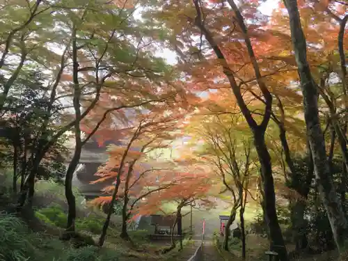 金剛院の景色