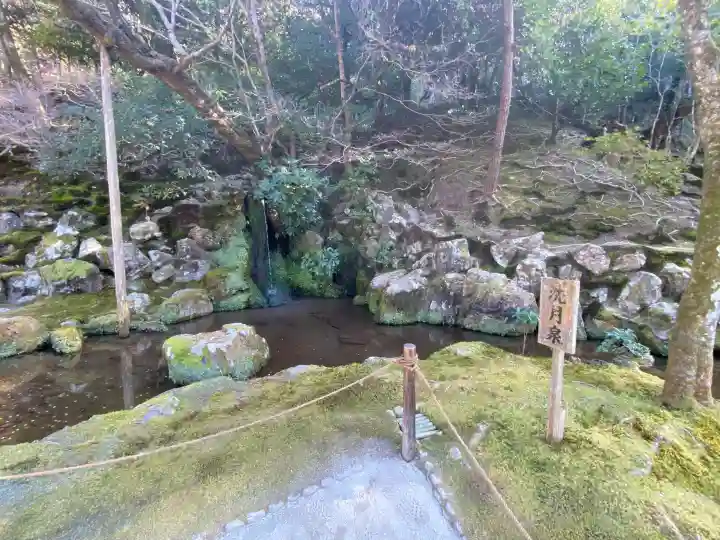 慈照寺(慈照禅寺・銀閣寺)の{uncategorized: "未分類", other: "その他", undefined: "問題あり", building: "その他建物", grave: "お墓", sacred_gate: "鳥居", guardian: "狛犬", statue: "像", buddha: "仏像", history: "歴史", nature: "自然", garden: "庭園", animal: "動物", pagoda: "塔", temizu: "手水舎", mountain_gate: "山門・神門", sanctuary: "本殿・本堂", subordinate: "末社・摂社", art: "芸術", scenery: "景色", jizo: "地蔵", ema: "絵馬", goshuin: "御朱印", omikuji: "おみくじ", items: "授与品その他", amulet: "お守り", goshuincho: "御朱印帳", eats: "食事", festival: "お祭り", votive_dance: "神楽", shichigosan: "七五三参", wedding: "結婚式", experience: "体験その他", initially: "初詣", around: "周辺", anti_infection: "感染症対策"}