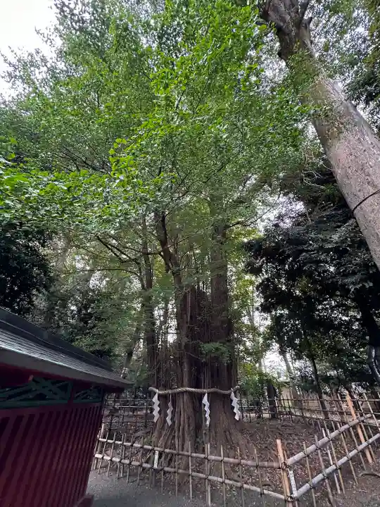 大國魂神社(東京都)