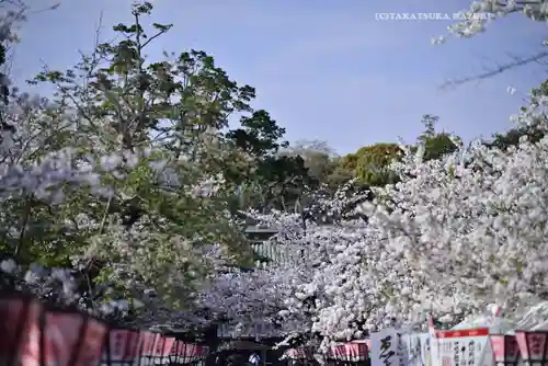 三嶋大社(静岡県)