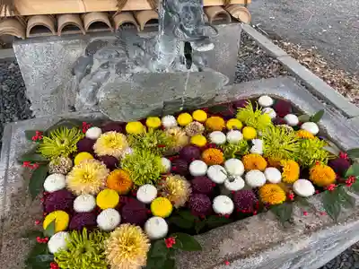 縣神社の手水舎