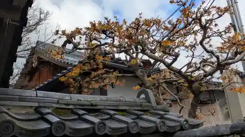 大林院(滋賀県)