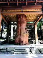国造神社の自然