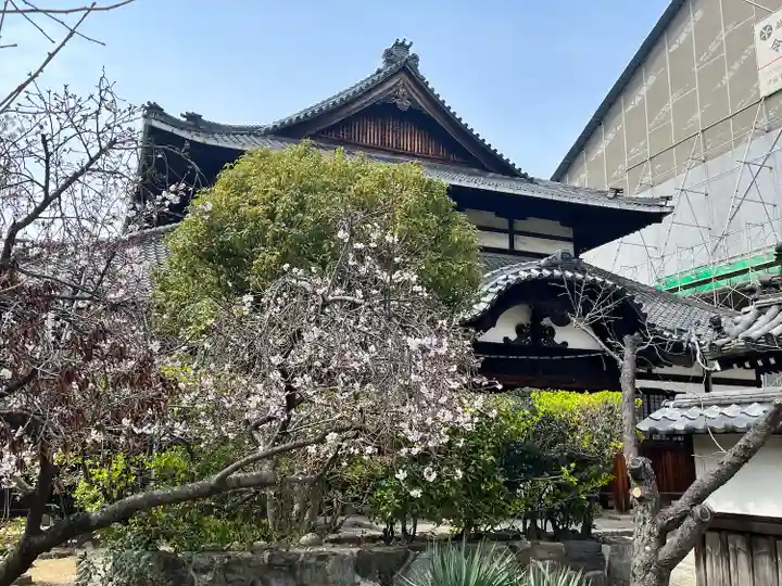 大念佛寺(大阪府)