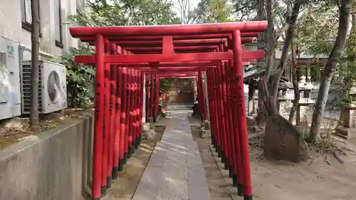 富岡八幡宮の鳥居