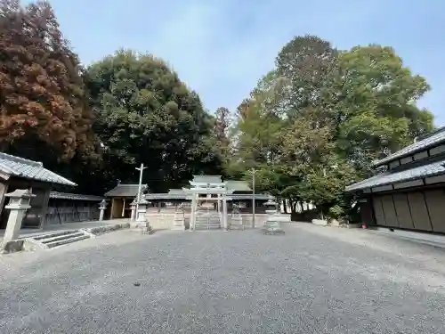 八幡神社(水口町新城)の{uncategorized: "未分類", other: "その他", undefined: "問題あり", building: "その他建物", grave: "お墓", sacred_gate: "鳥居", guardian: "狛犬", statue: "像", buddha: "仏像", history: "歴史", nature: "自然", garden: "庭園", animal: "動物", pagoda: "塔", temizu: "手水舎", mountain_gate: "山門・神門", sanctuary: "本殿・本堂", subordinate: "末社・摂社", art: "芸術", scenery: "景色", jizo: "地蔵", ema: "絵馬", goshuin: "御朱印", omikuji: "おみくじ", items: "授与品その他", amulet: "お守り", goshuincho: "御朱印帳", eats: "食事", festival: "お祭り", votive_dance: "神楽", shichigosan: "七五三参", wedding: "結婚式", experience: "体験その他", initially: "初詣", around: "周辺", anti_infection: "感染症対策"}