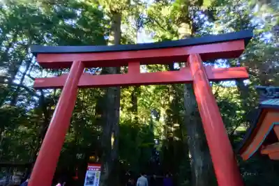 箱根神社(神奈川県)