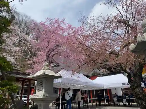 東円寺(山梨県)