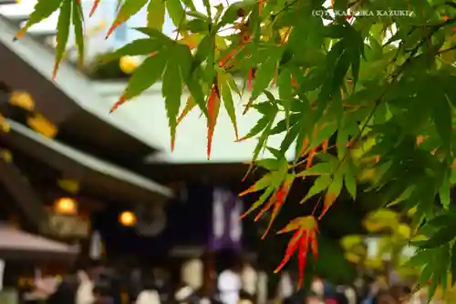 東京大神宮(東京都)