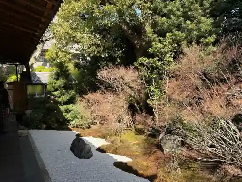 西来院の{uncategorized: "未分類", other: "その他", undefined: "問題あり", building: "その他建物", grave: "お墓", sacred_gate: "鳥居", guardian: "狛犬", statue: "像", buddha: "仏像", history: "歴史", nature: "自然", garden: "庭園", animal: "動物", pagoda: "塔", temizu: "手水舎", mountain_gate: "山門・神門", sanctuary: "本殿・本堂", subordinate: "末社・摂社", art: "芸術", scenery: "景色", jizo: "地蔵", ema: "絵馬", goshuin: "御朱印", omikuji: "おみくじ", items: "授与品その他", amulet: "お守り", goshuincho: "御朱印帳", eats: "食事", festival: "お祭り", votive_dance: "神楽", shichigosan: "七五三参", wedding: "結婚式", experience: "体験その他", initially: "初詣", around: "周辺", anti_infection: "感染症対策"}