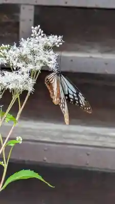真正極楽寺(真如堂)(京都府)
