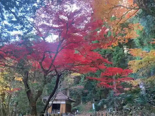 聖寳寺(三重県)