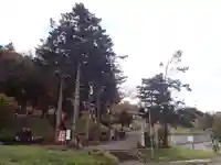 浦幌神社・乳神神社の自然