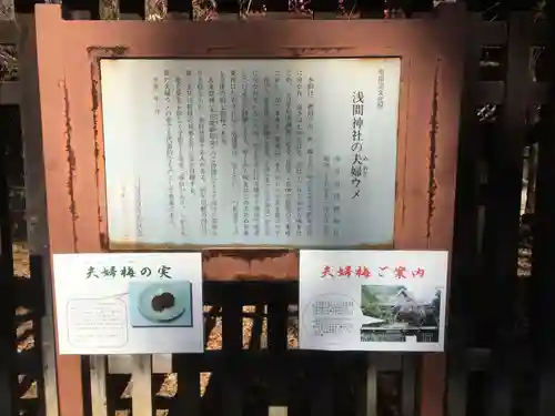 甲斐國一宮 浅間神社の歴史