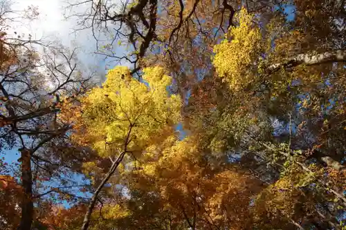 隠津島神社の景色