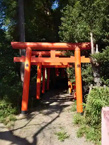 烏子稲荷神社の鳥居