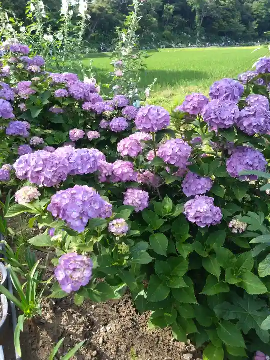 二本松寺(茨城県)