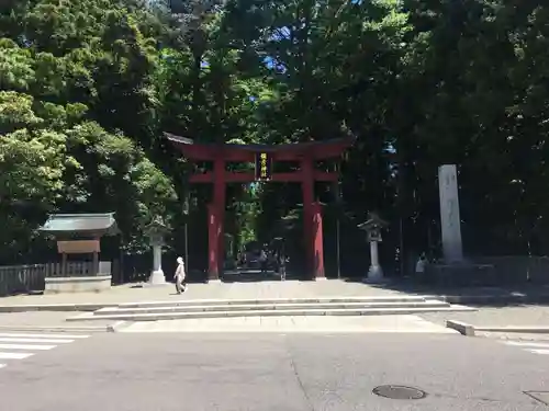 彌彦神社の鳥居