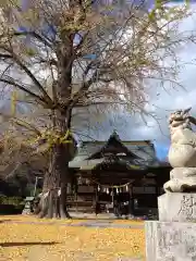 賀羅加波神社の本殿