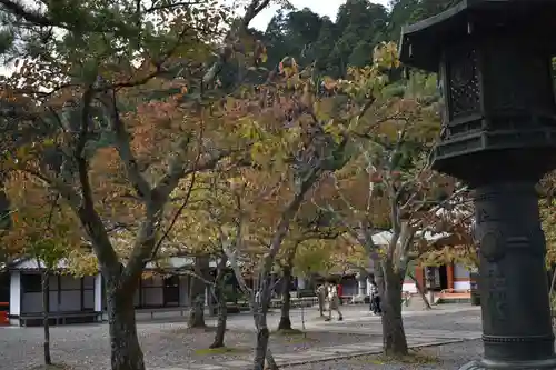 鞍馬寺のその他建物