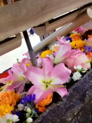鳩森八幡神社(東京都)