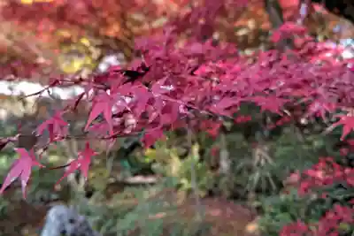 円興寺(岐阜県)