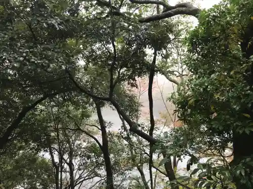山神社のその他建物