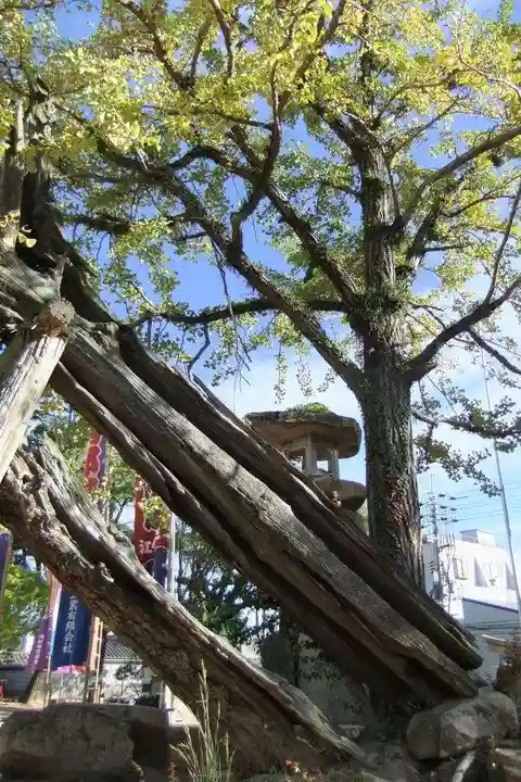 忌宮神社(山口県)