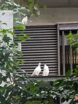 靖國神社(東京都)