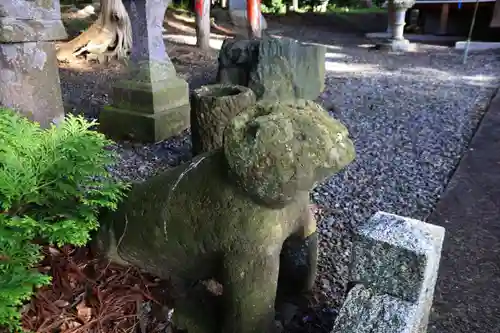 阿久津「田村神社」（郡山市阿久津町）旧社名：伊豆箱根三嶋三社の狛犬