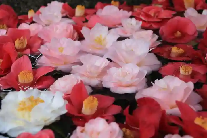 田村神社の手水舎