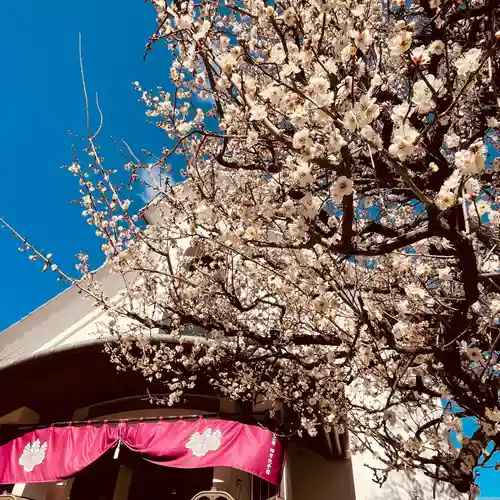 光源寺(東京都)