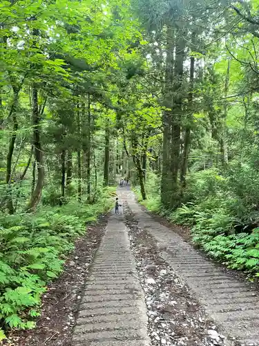 戸隠神社奥社(長野県)