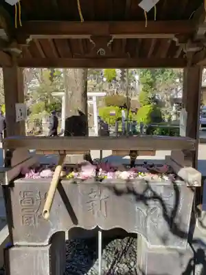 鳩森八幡神社(東京都)