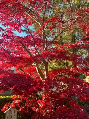 宝来山神社(和歌山県)