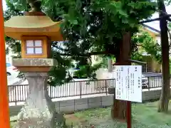 浜松秋葉神社の建物その他