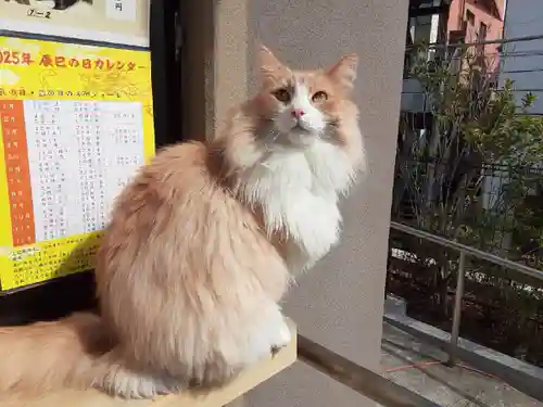 駒込妙義神社(東京都)