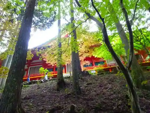 延暦寺横川中堂(滋賀県)