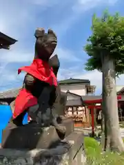 於菊稲荷神社の狛犬