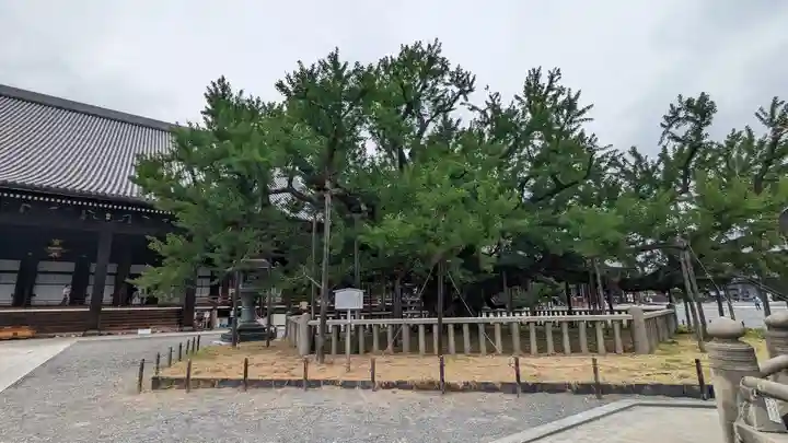 本願寺(西本願寺)(京都府)