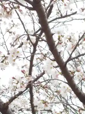 星田妙見宮(大阪府)