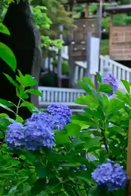 伊勢山皇大神宮(神奈川県)