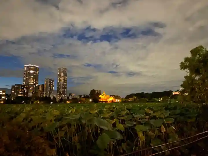 寛永寺不忍池弁天堂の景色