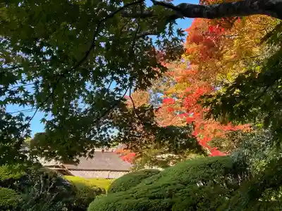 詩仙堂(丈山寺)(京都府)